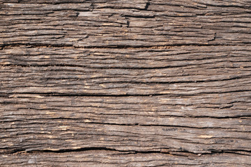 Fototapeta premium wood texture background