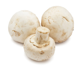 Champignon mushrooms