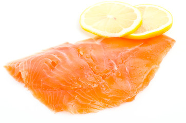 Salmon