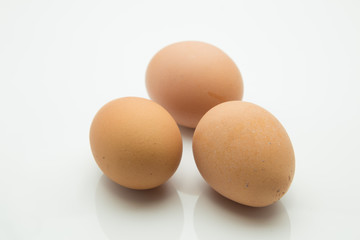 egg