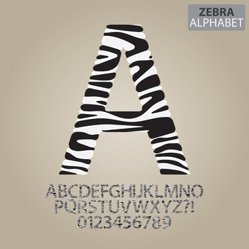 Zebra Stripe Alphabet and Numbers Vector