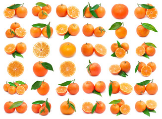 Mandarins