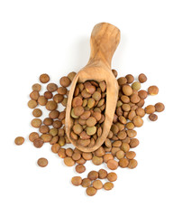 brown lentils in a wooden scoop