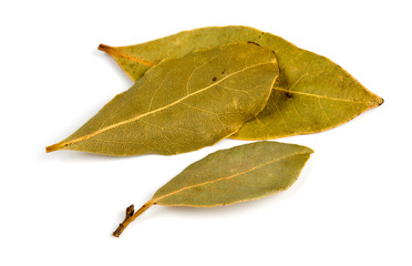Fototapeta premium bay leafs isolated on white