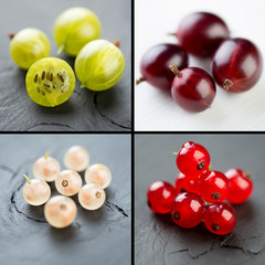 Gooseberries and currants, collage