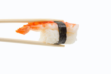 Sushi nigiri isolated on white background