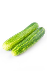 Cucumber