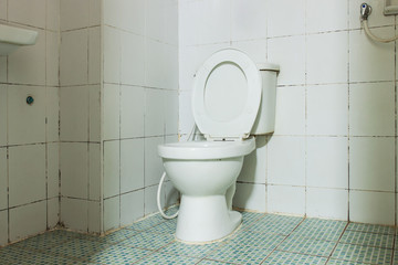 white toilet