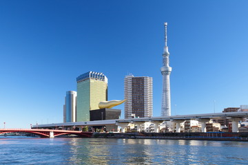 Obraz premium View of Tokyo Sky Tree