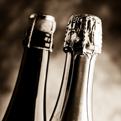 Fototapeta na wymiar sparkling wine cork