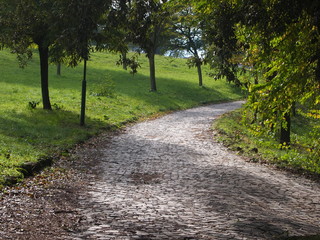Road flint in the park