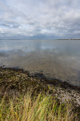 Orbetello - Laguna e Fenicotteri Rosa