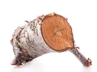 Rough cut of fruit tree (Cherry) isolated on white