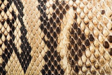 Texture of genuine crocodile leather