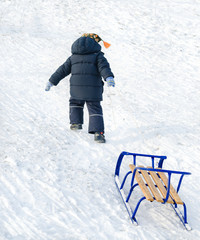 Little child pulling a blue sled on the snow