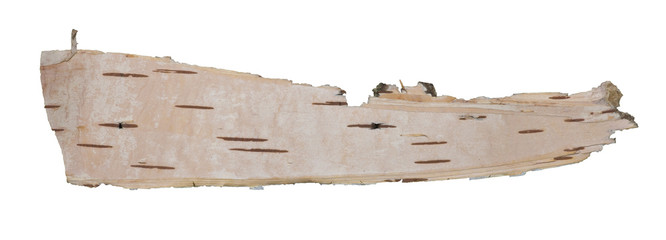 Bark slice