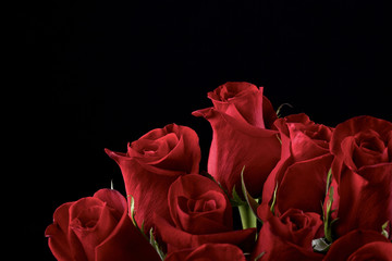 Red roses on black background