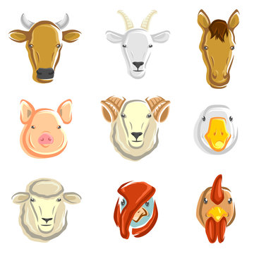 Farm animals set. Vector