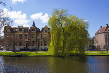 traditional Dutch houses, Alkmaar town, Holland, the Netherlands