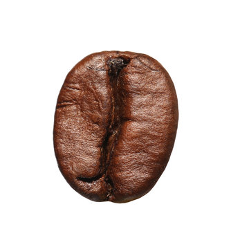 Coffee Bean Isolated