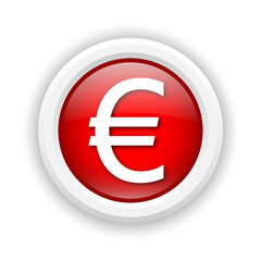 Euro icon