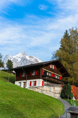 Fototapeta na wymiar Grindelwald Village, Switzerland