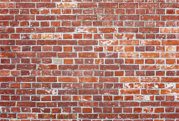 Fototapeta premium Brick wall in red
