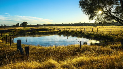 Mist of morning sunrise time lapse