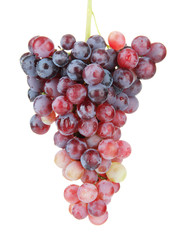 Fresh grape, isolated on white