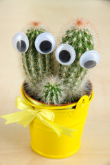 Funny cactus with eyes in bright pail on wooden table