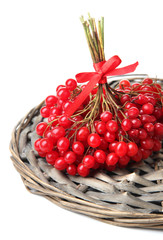 Red berries of viburnum isolated on white