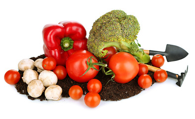 Vegetables on ground isolated on white