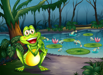 A playful frog at the forest standing near the pond