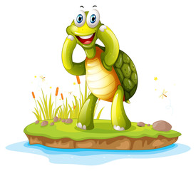 Fototapeta premium A smiling turtle in an island