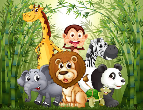 A bamboo forest with many animals