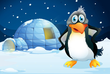 A penguin standing near the igloo