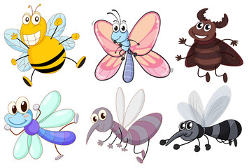 Six flying insects