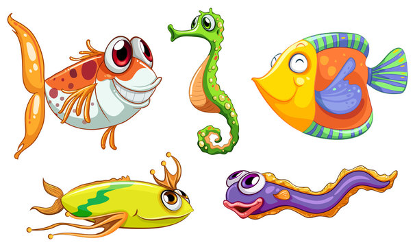 Five sea creatures
