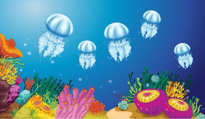 Obraz premium Underwater creatures