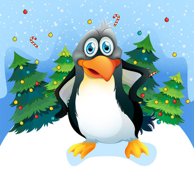 A penguin near the christmas trees