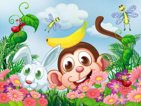 A monkey and a rabbit at the garden with insects