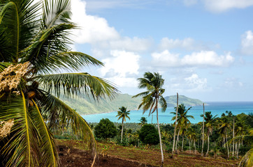 Naklejka premium Caribbean: Lonely beautiful beach on Samana :)