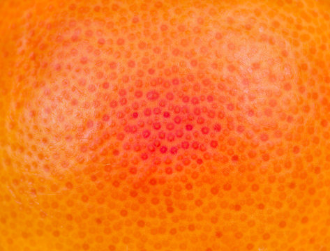 texture of skin ripe grapefruit