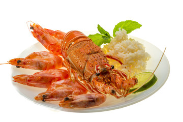 Spiny lobster, shrimps and rice