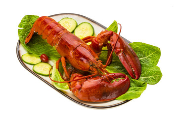 Large Lobster