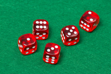 five playing red dices on green table