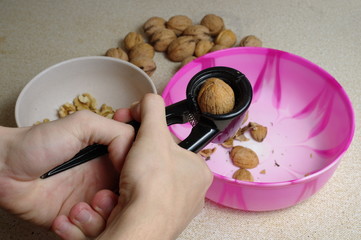 Wallnut shelling