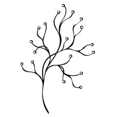 Beautiful Decorative Branch with Flowers (Vector)