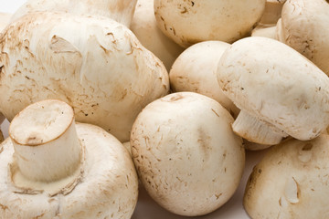 Champignon mushrooms
