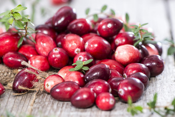 Fresh Cranberries